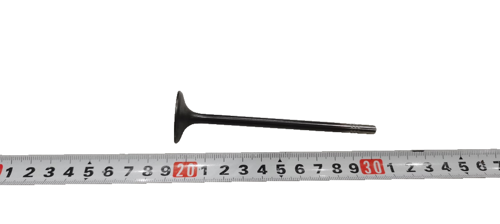 Intake valve
