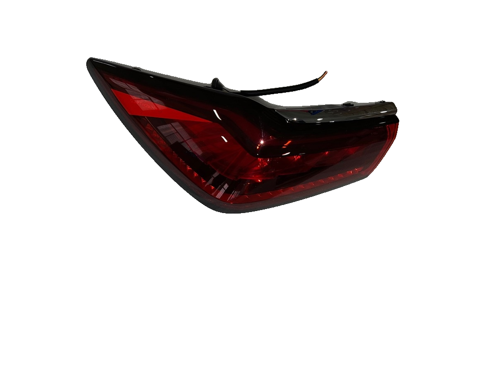 Left Combination Taillamp Assembly