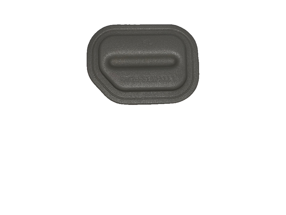 Left front door seal plug I