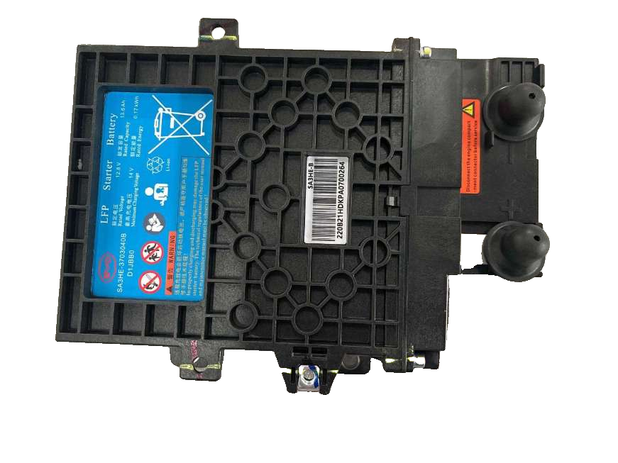 Starter Battery (LiFePO4)