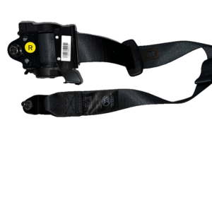 Rear Right Seat Belt Assembly
