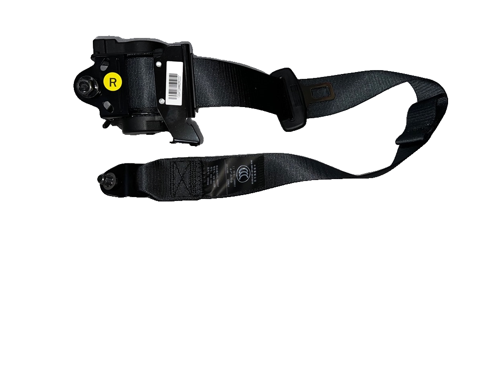 Rear Right Seat Belt Assembly