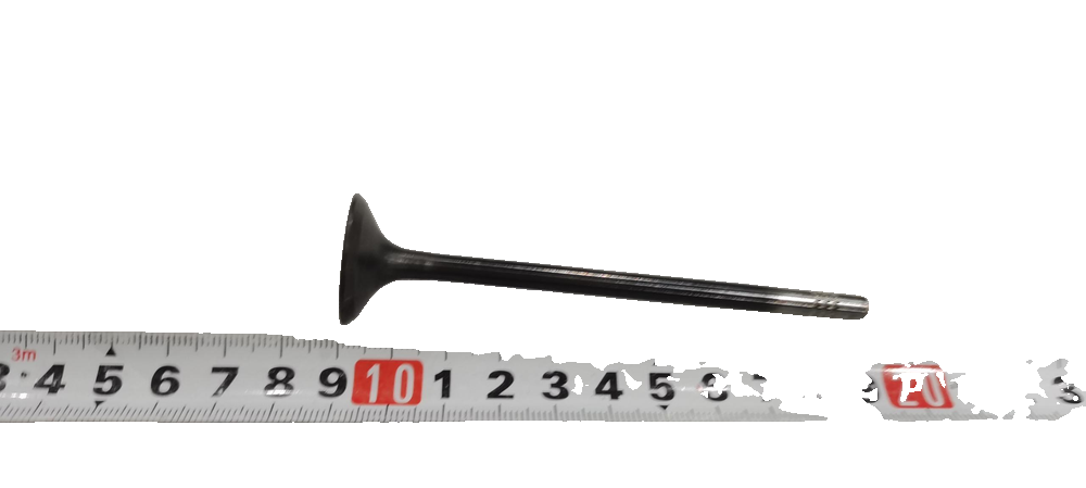 Exhaust Valve