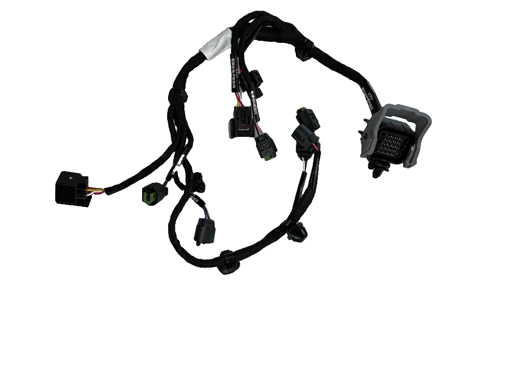 Integrated Module Wiring Harness Assembly