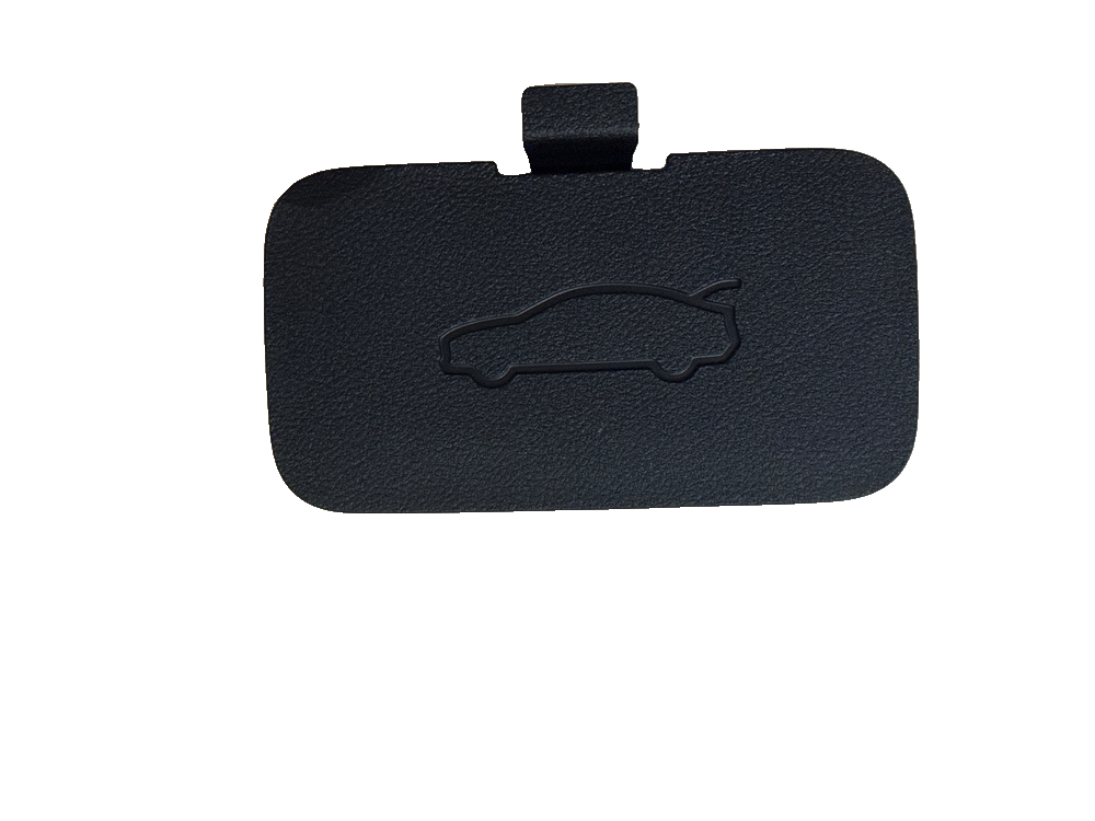 Tailgate Lock Service Cover