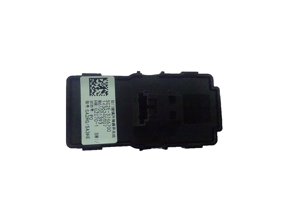 Rear Door Window Regulator Switch Set