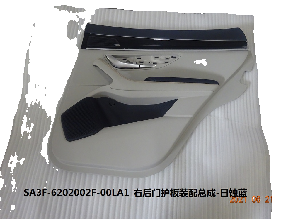 Right rear door trim panel assembly - Eclipse Blue