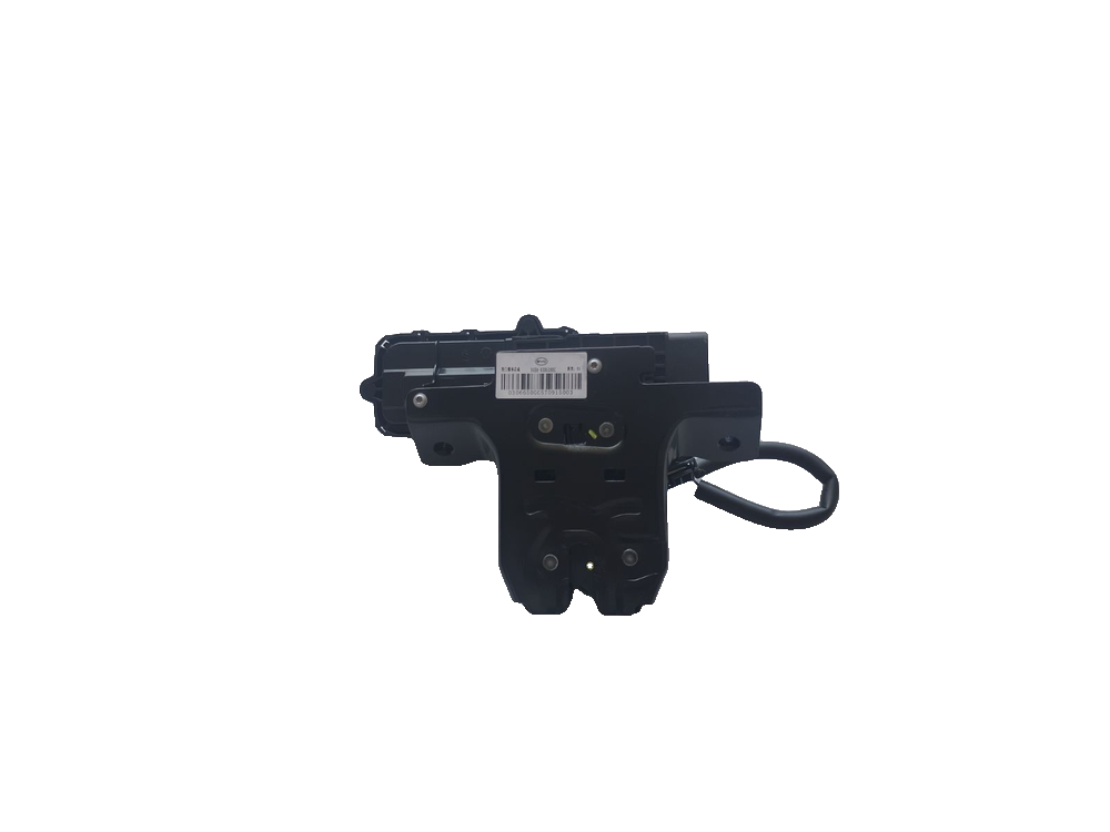 Tailgate Lock Body Assembly