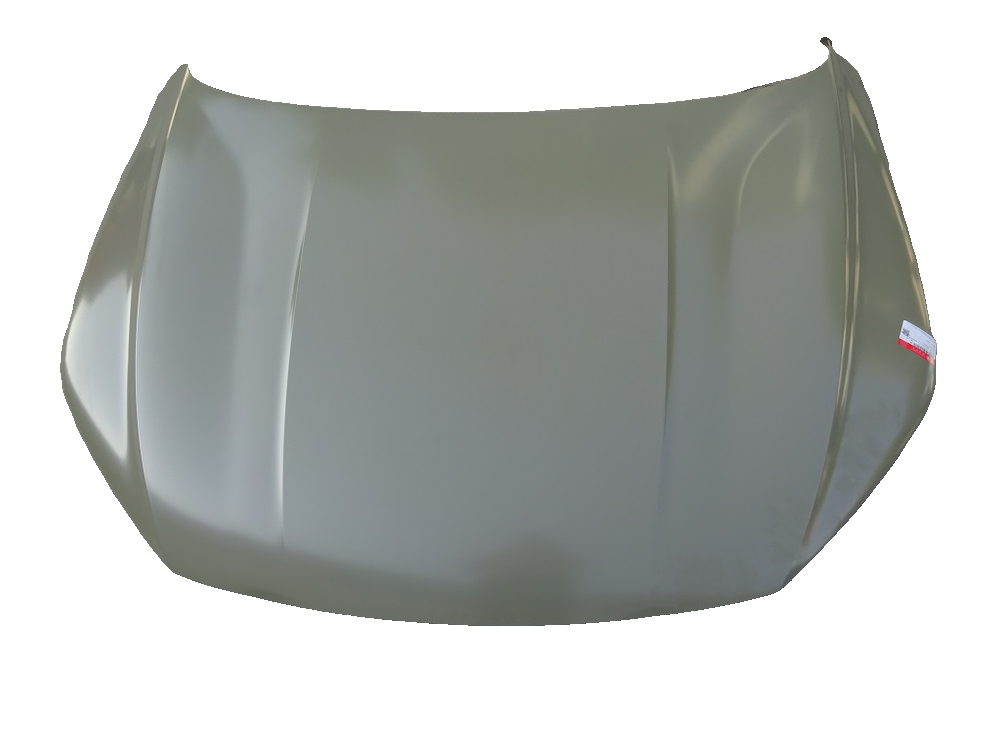 Front Hood Assembly