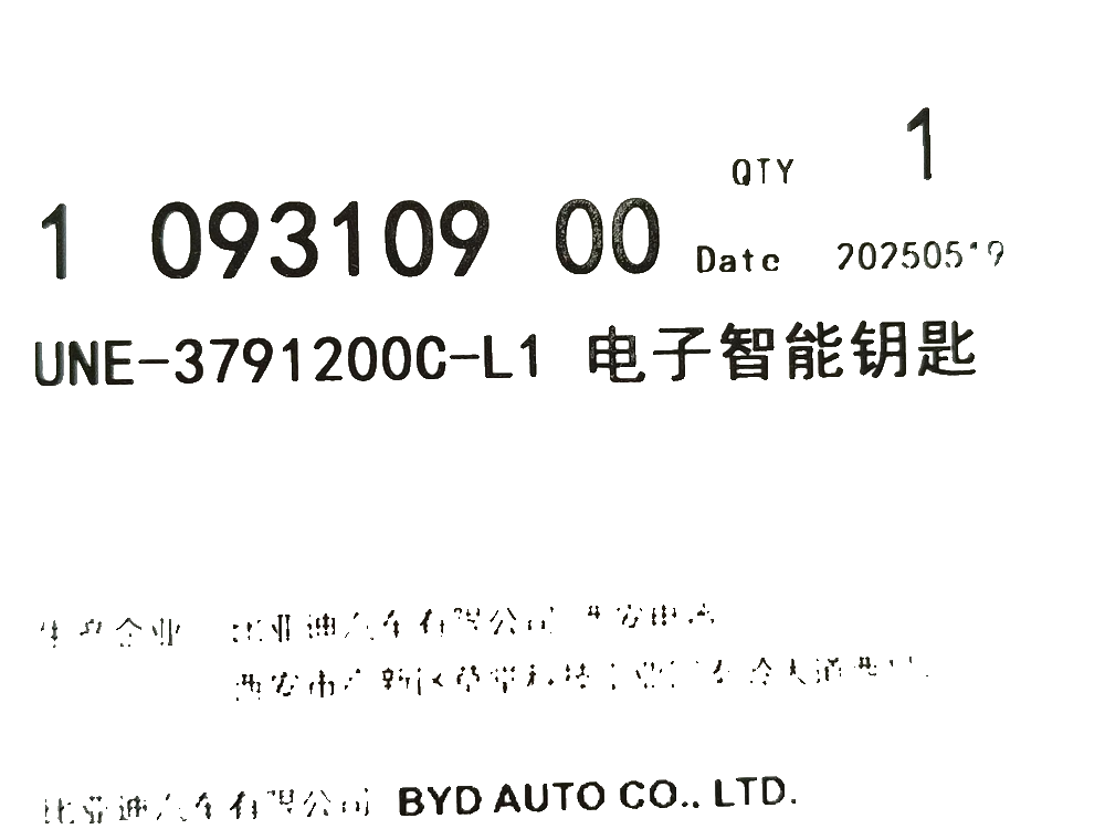 Electronic Smart Key