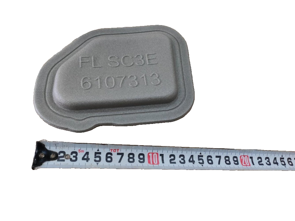 Left front door seal plug II