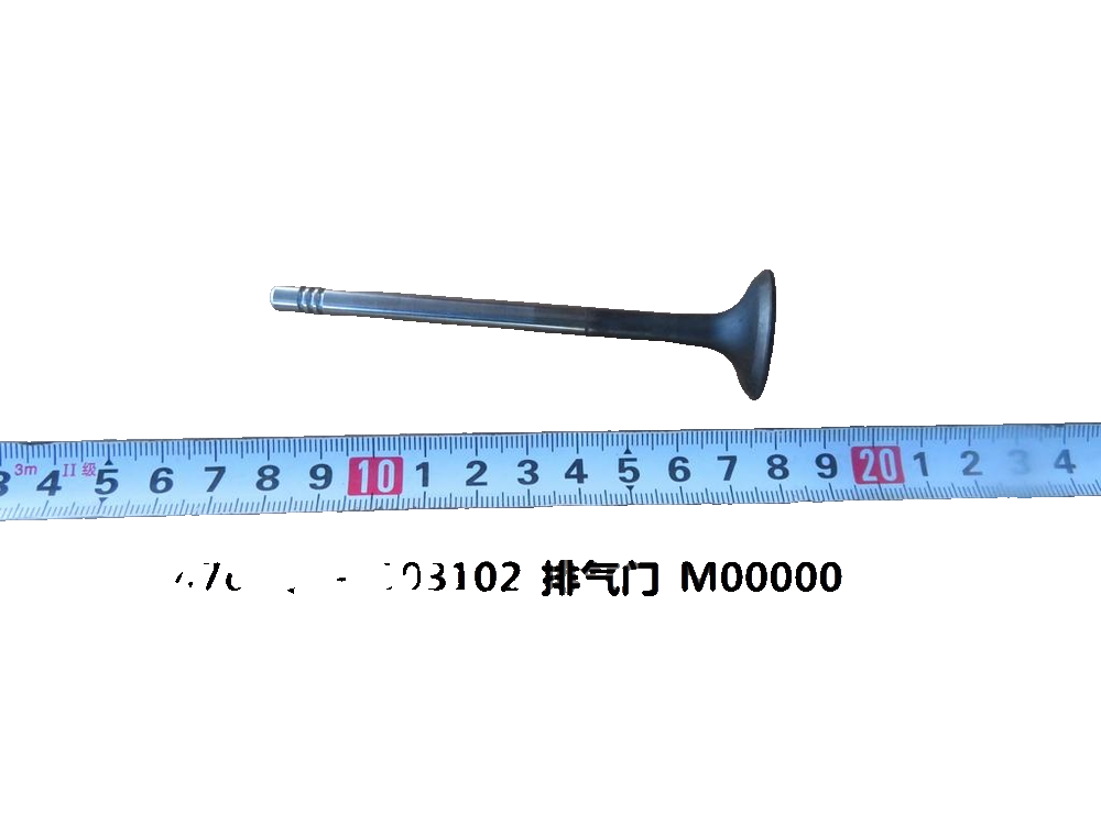 Exhaust Valve
