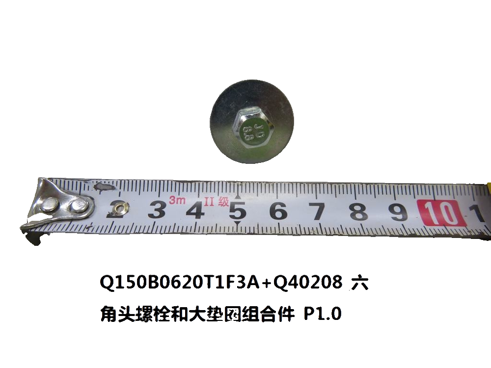 Q150B0620T1F3A+Q40208_Hex Head Bolt and Large Washer Assembly_P1.0