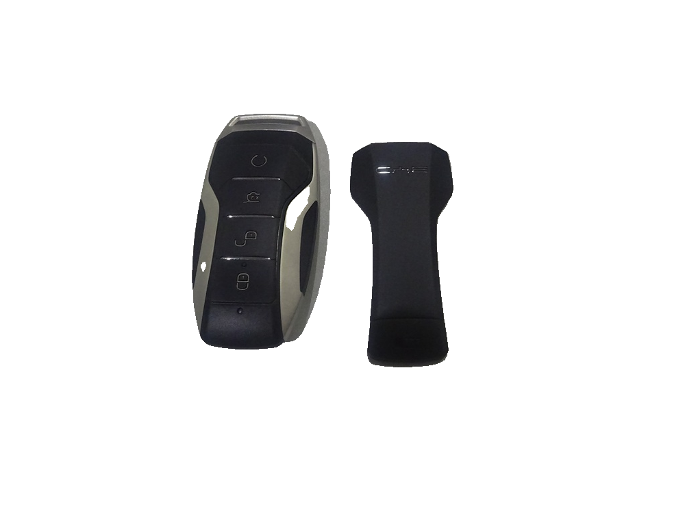 Electronic Smart Key