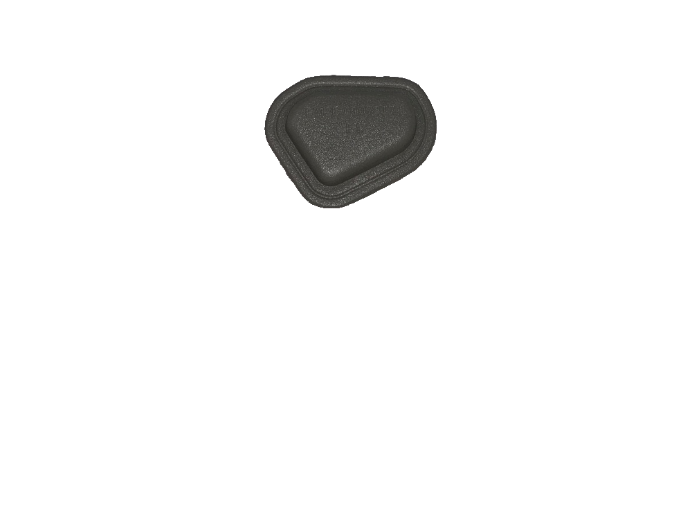 Left front door seal plug IV