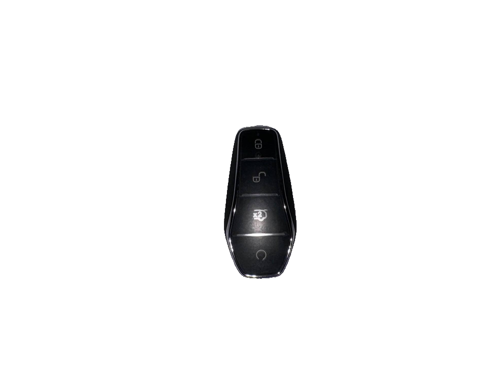 Electronic Smart Key