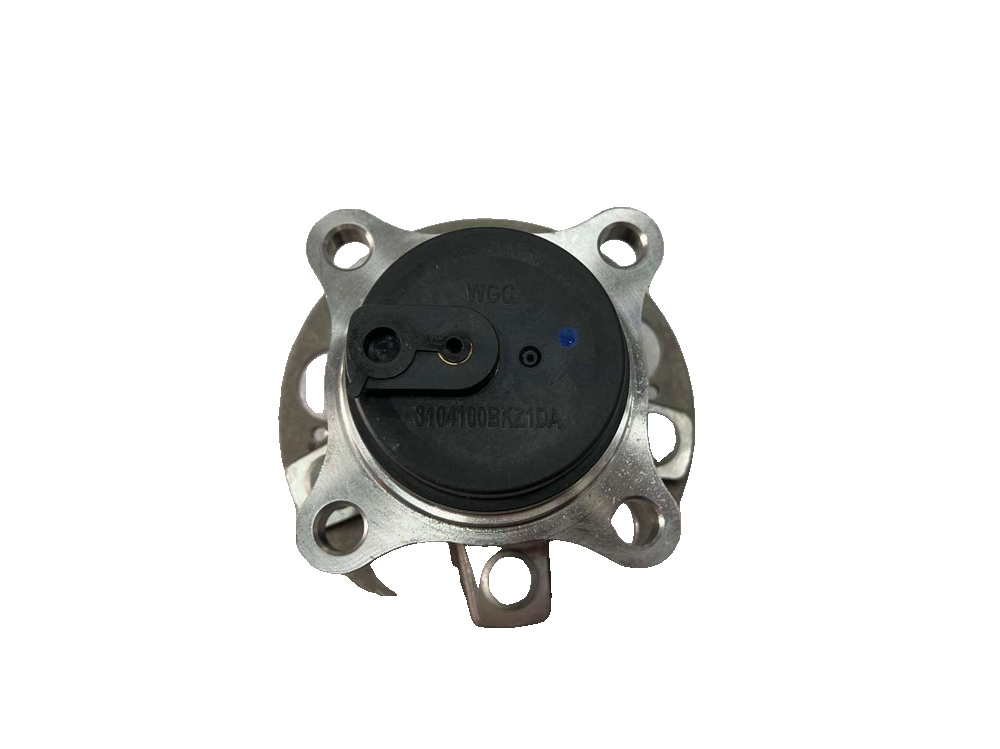 Rear Hub Unit Assembly