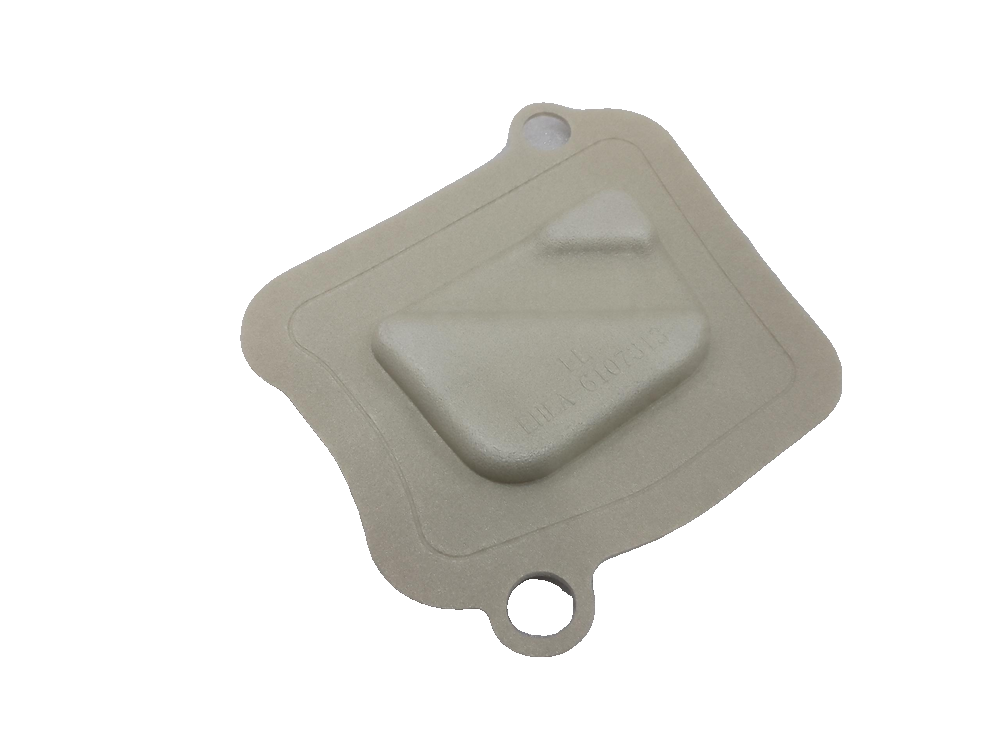 Left front door seal plug II
