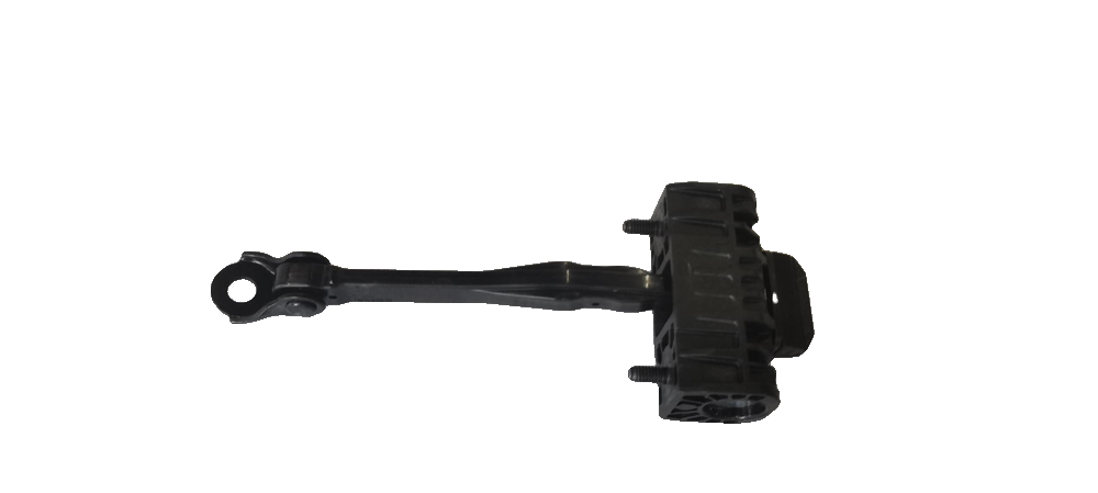 Rear Door Check/Limiter Assembly