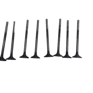 Exhaust Valve