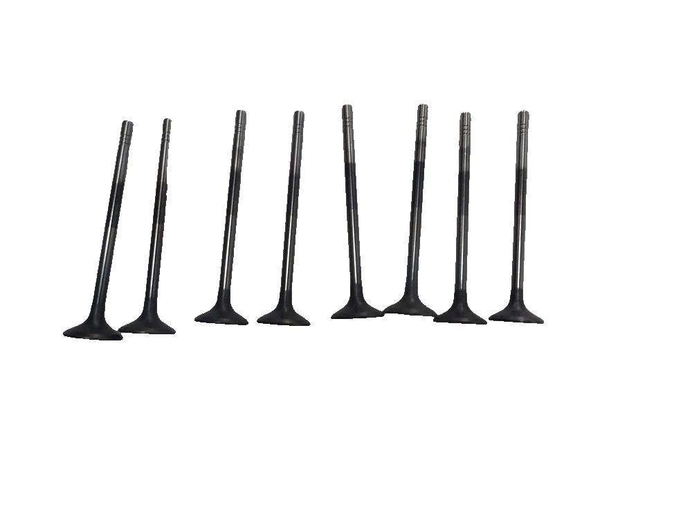Exhaust Valve