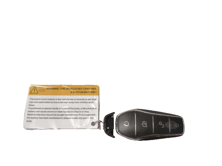 Electronic Smart Key