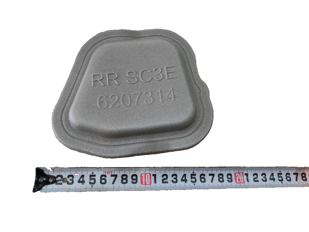 Right Rear Door Seal Plug II