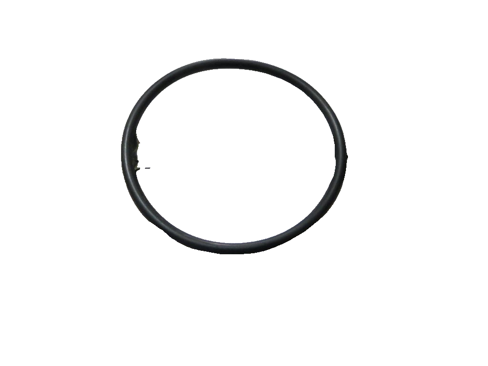Filter O-Ring Seal 1