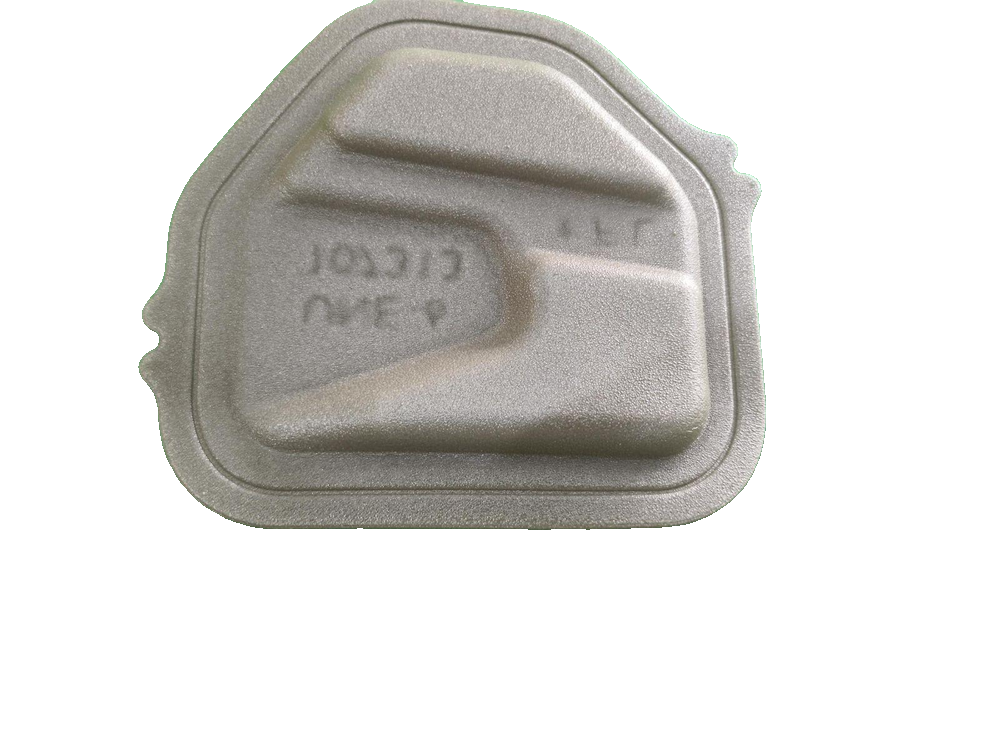 Left front door seal plug II