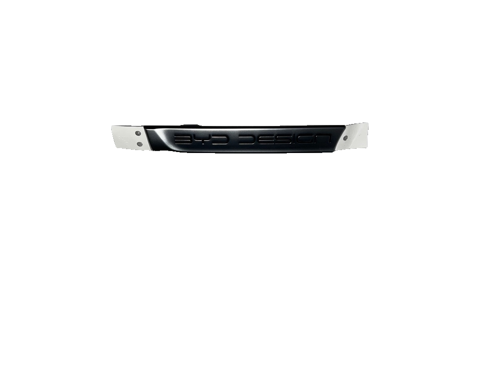 Right Fender Trim Strip Assembly