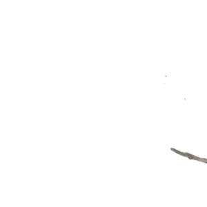 Left Rear Brake Hard Line II Assembly