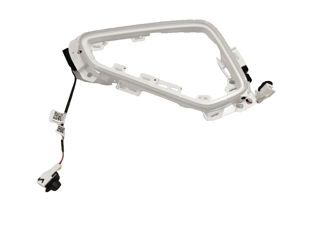 Left Rear Door Ambient Light Assembly