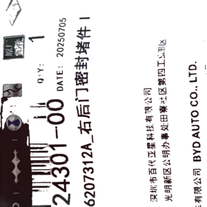 Right Rear Door Seal Plug I