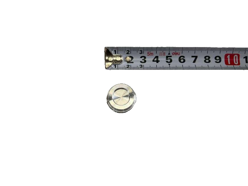 Check Valve Flow Channel Seal Plug