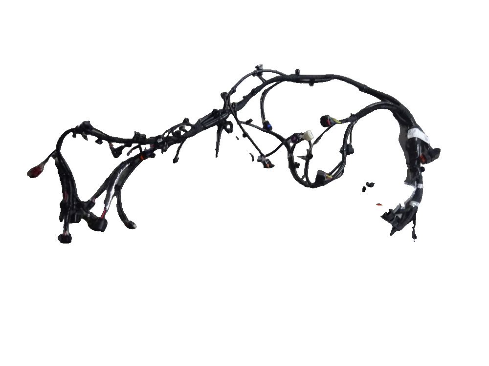 Engine Wiring Harness