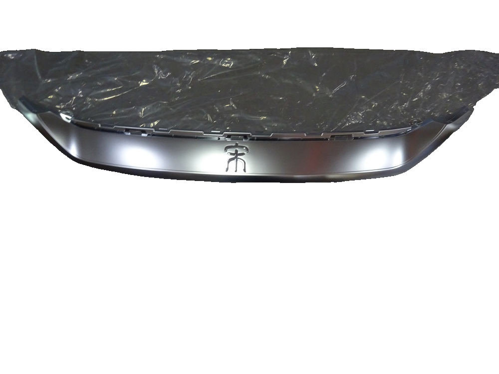 Front Bumper Whisker Bright Trim Strip Assembly