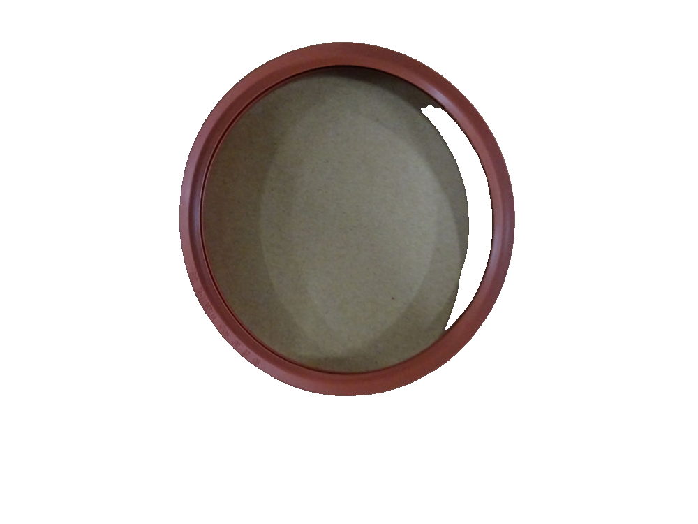 Oil Pump Seal Ring