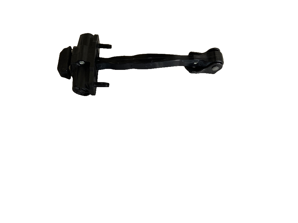 Rear Door Check/Limiter Assembly