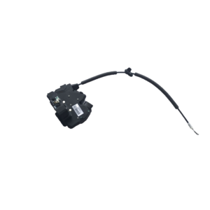 Left Rear Door Lock Body Assembly