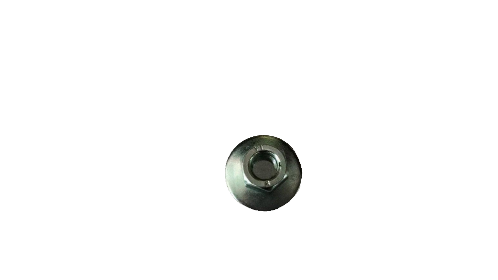 Q32206T2F36LHP1_Hexagon Nut and Conical Spring Washer Assembly