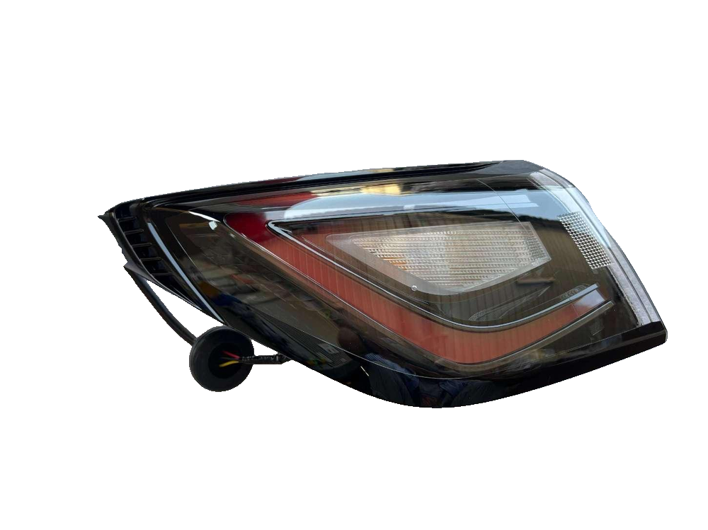 Left Combination Taillamp Assembly