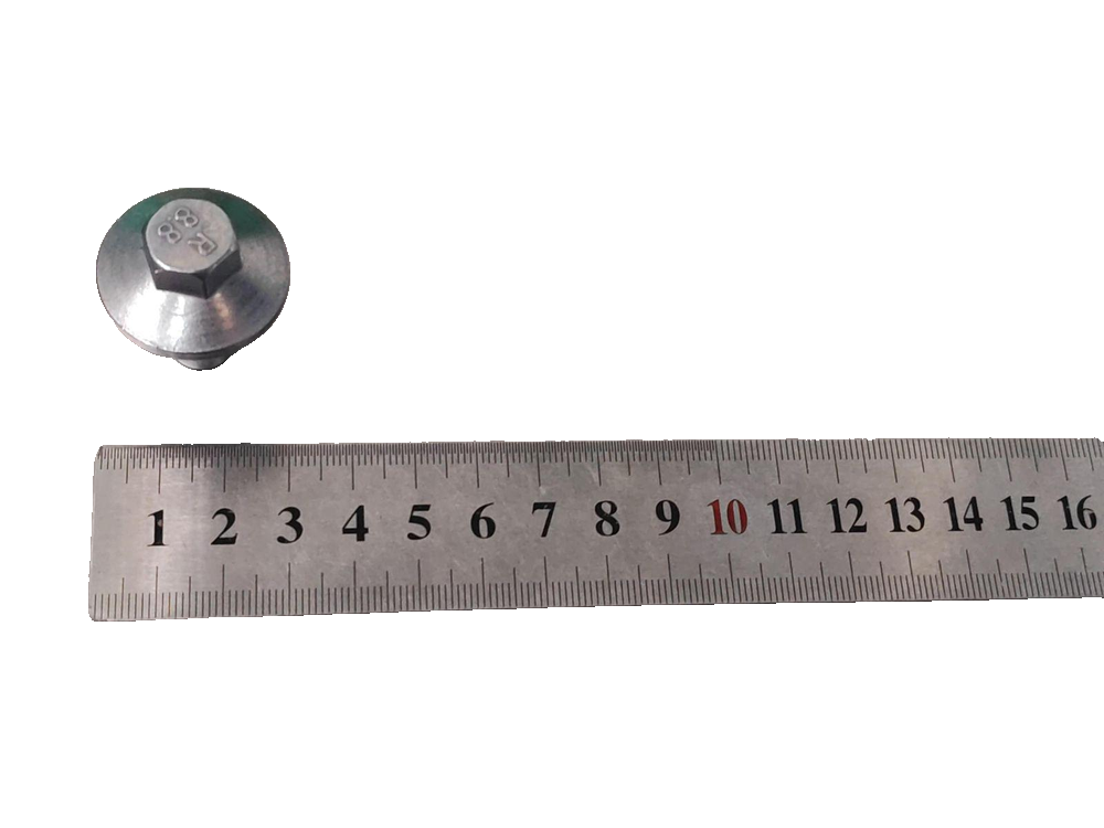 Drain plug assembly