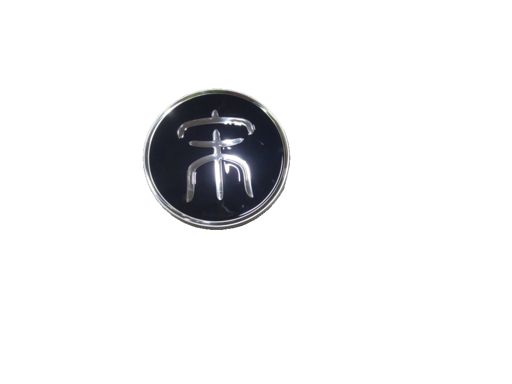 Wheel Hub Cap Assembly