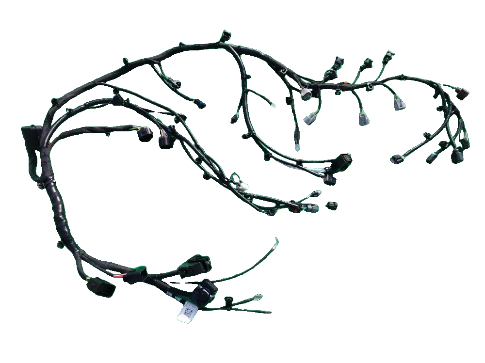 Engine Wiring Harness