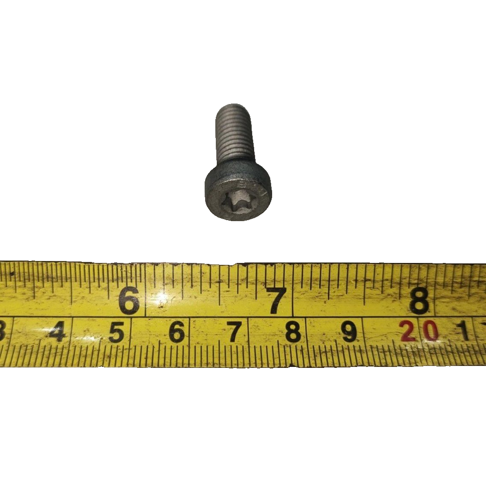 Q2100820T1F61_Hex Socket Torx Cylindrical Head Screw