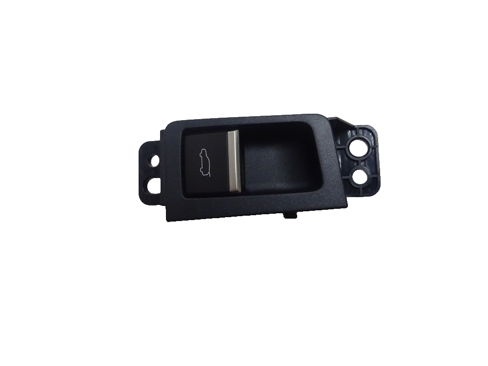 Electric Tailgate Open Switch - Eclipse Blue