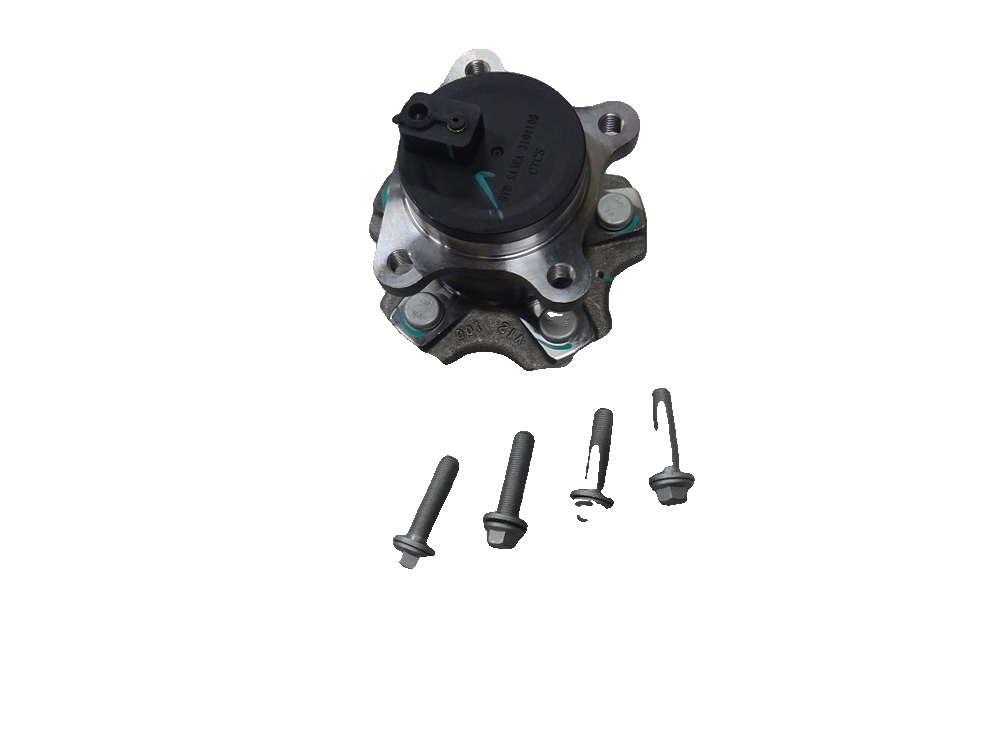 Rear Hub Unit Assembly