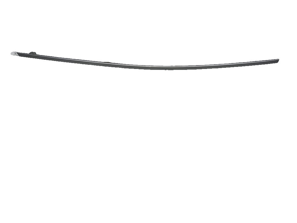Left Rear Door Trim Strip Assembly - Matte Silver White 2