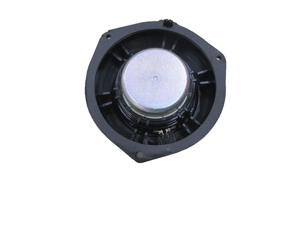 Rear Door Speaker