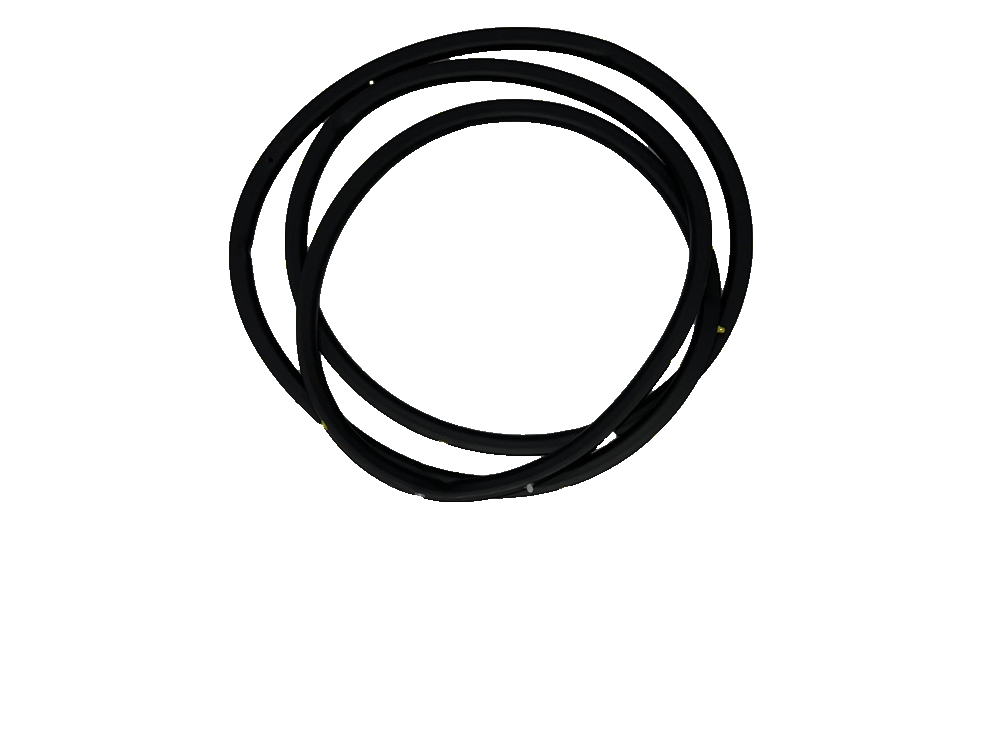Left front door weatherstrip